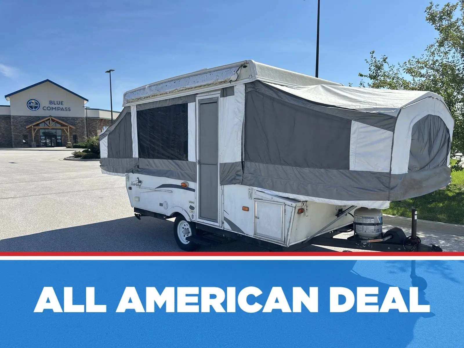 2007 Palomino YEARLING Y4102