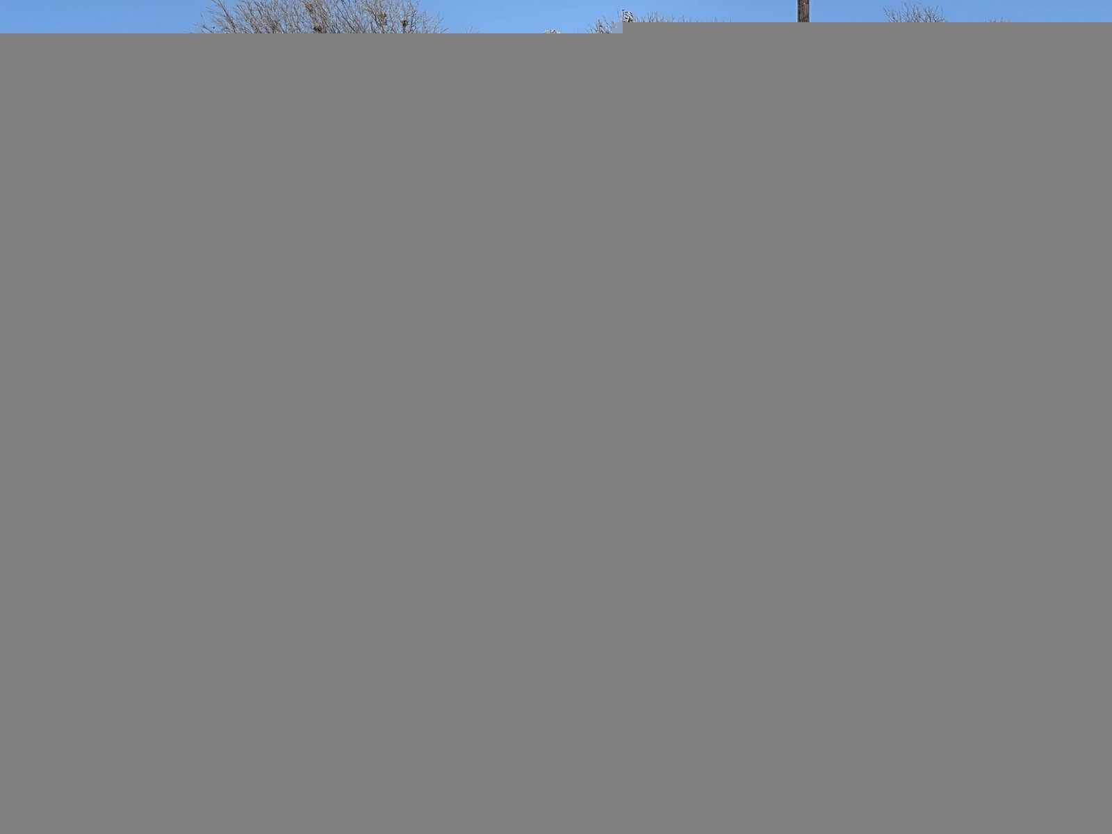 2021 Airstream Globetrotter 23FB Twin