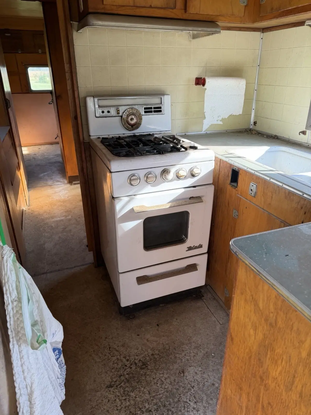 1954 TROTWOOD