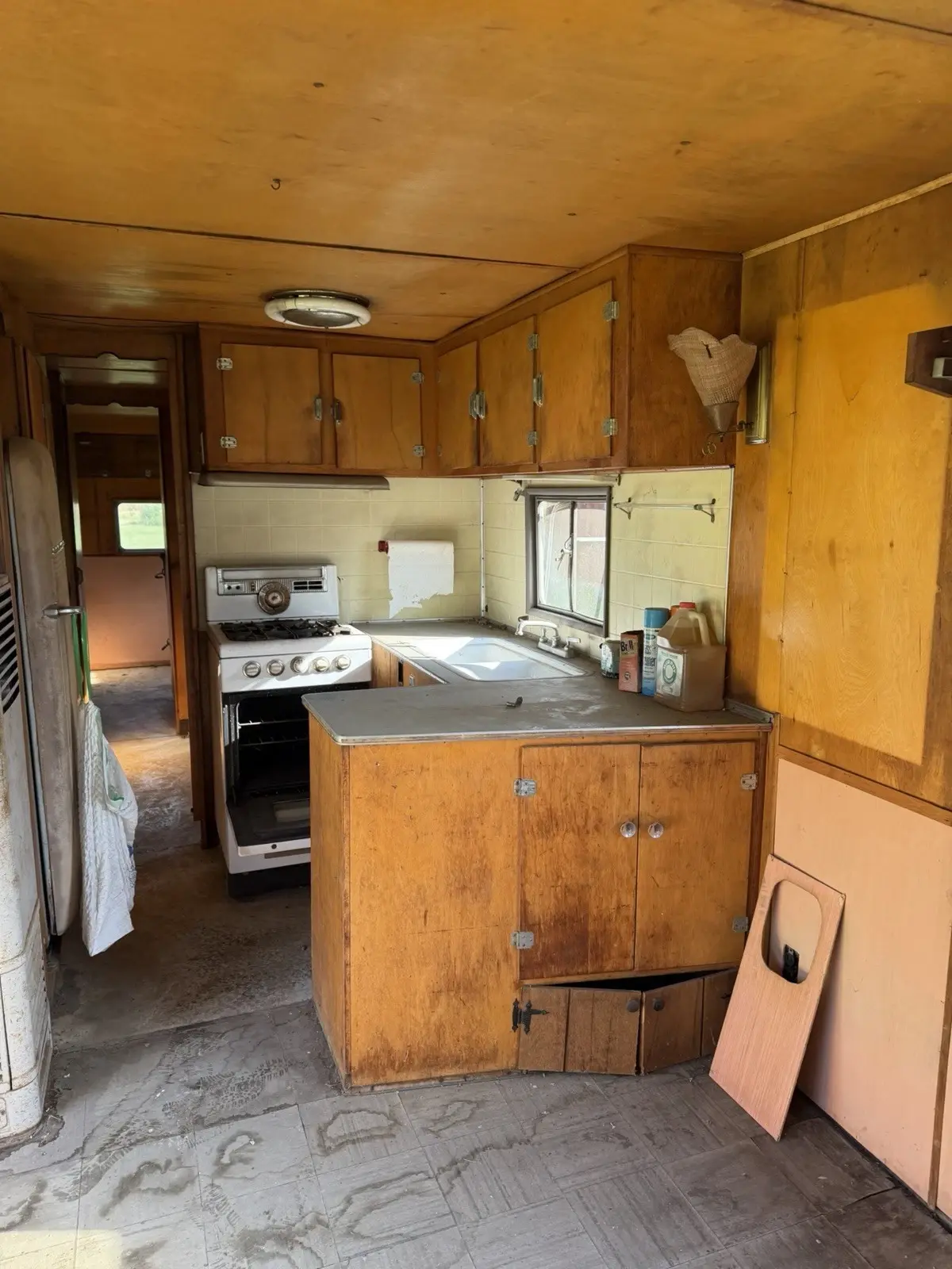 1954 TROTWOOD