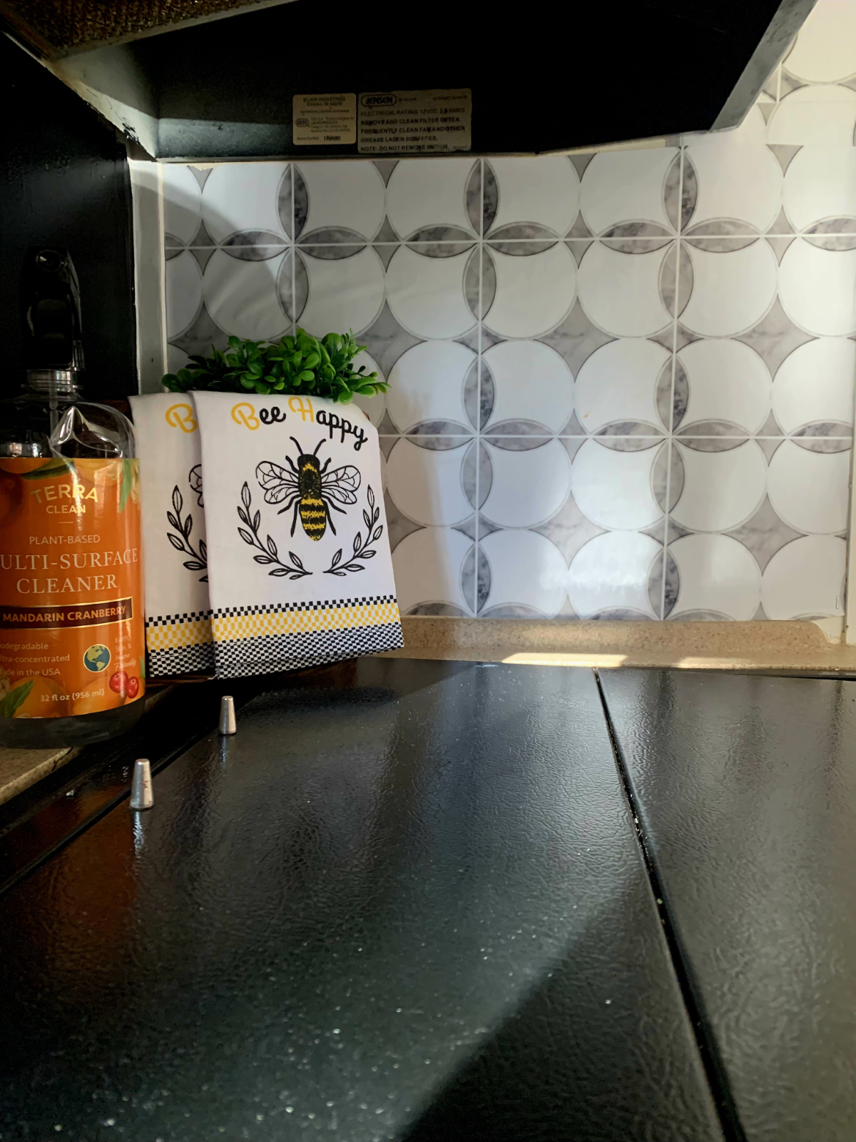 2006 Montana Montana