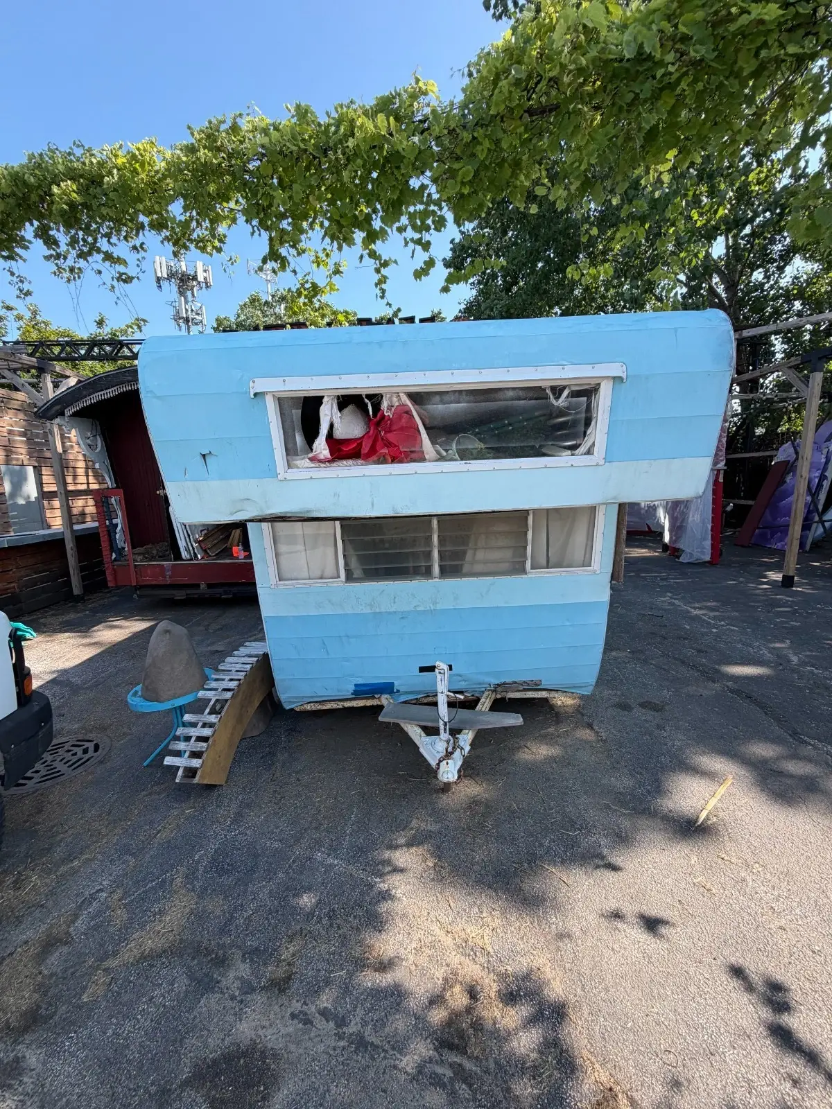 1955 Shasta