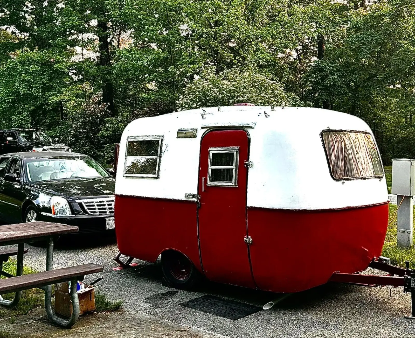 1979 Scamp Acorn