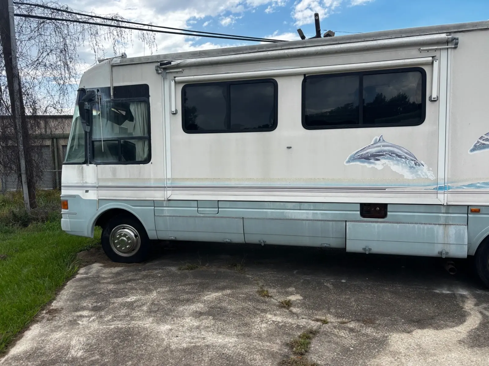 1999 National Dolphin