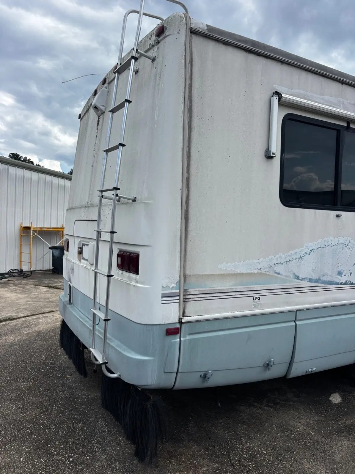 1999 National Dolphin