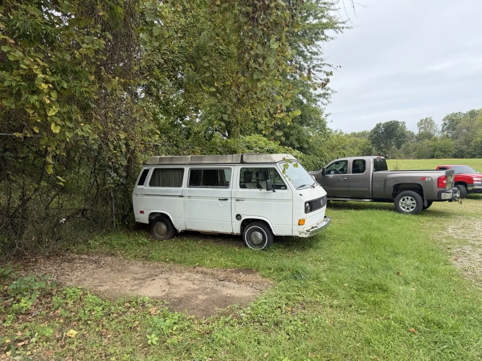 1982 Volkswagen VW