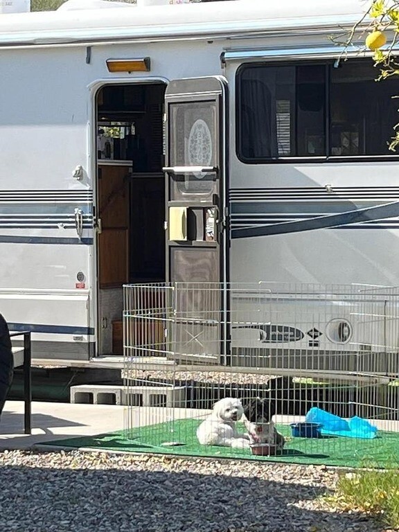 1998 Foretravel Motorcoach Stationary RV Motorized Class A