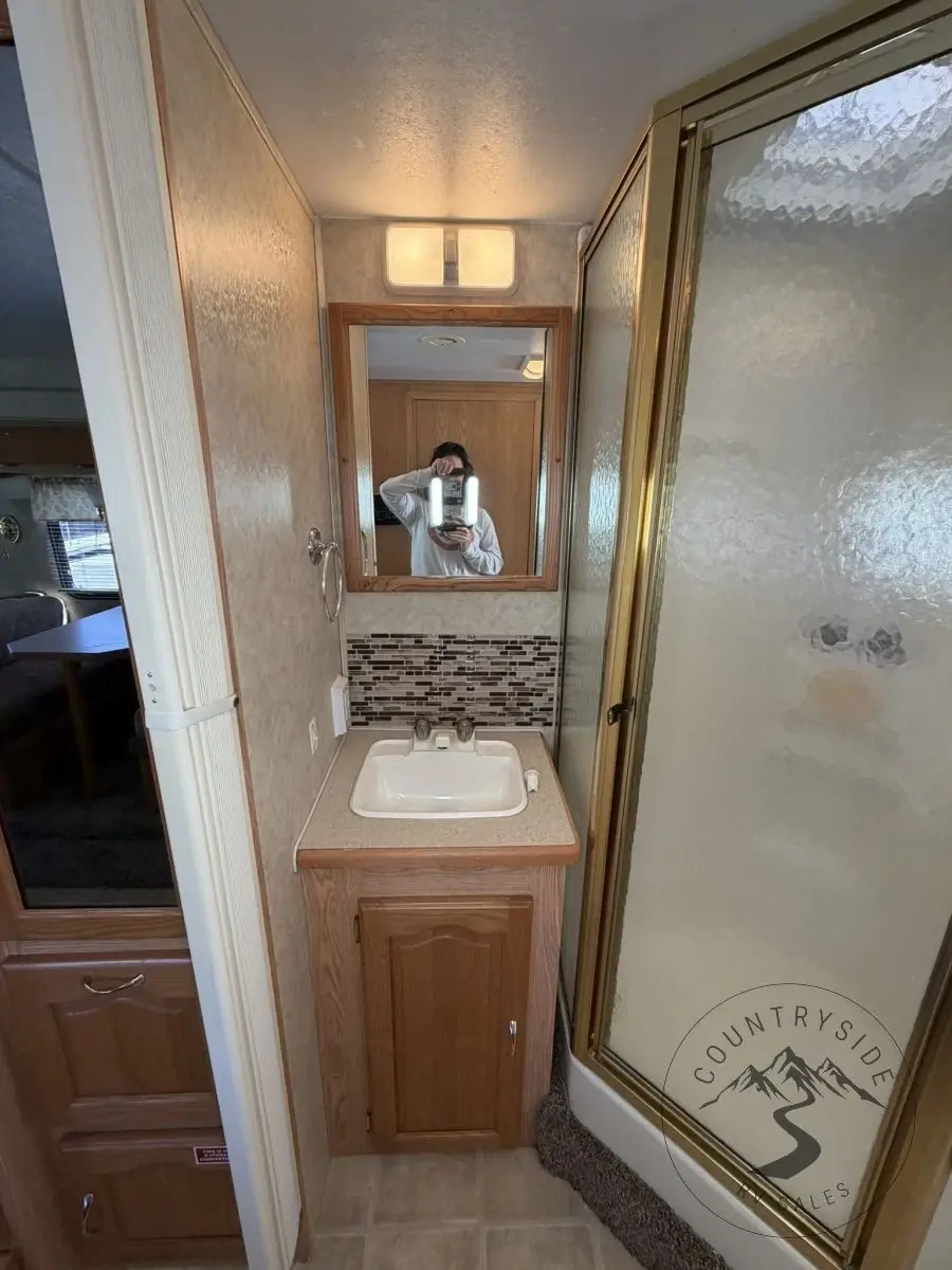 2005 Forest River Georgetown SE Class A