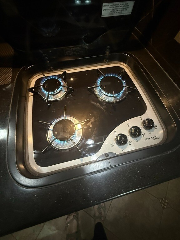 2010 Winnebago Tour Motorized Class A